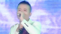 华语群星 - 自由飞翔 (Cover)