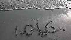 BEAST - BEAST - 10161230