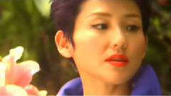 刘美君 - 浮花