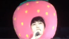 圭贤(Super Junior),Super Junior,东方神起,SHINee - ichigo