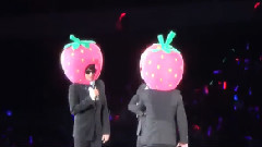 圭贤(Super Junior),Super Junior - Ichigo