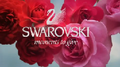 Fashion Show - Swarovski TV Campaign With Miranda Kerr & Estee Lauder Modern Muse