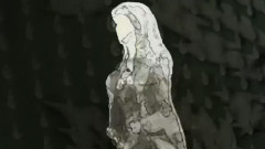 Birdy - Bird Song