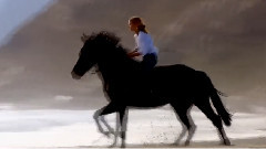 MainGain - Freedom