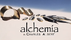 欧美群星 - Charles Albert 2013 Ad Campaign