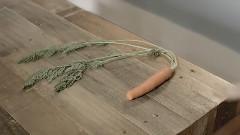 Introducing Carrot